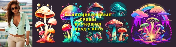 ECSTASY Богданович