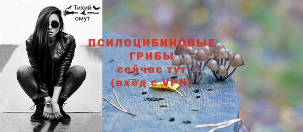 ECSTASY Богданович