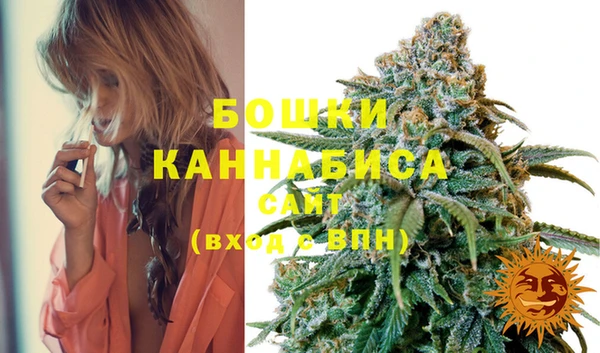 ECSTASY Богданович