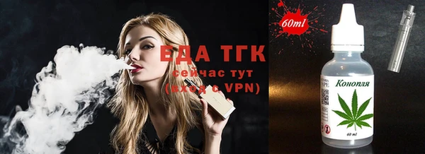 ECSTASY Богданович
