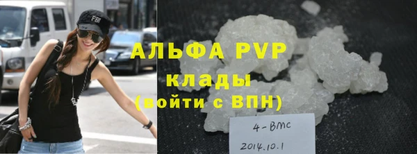спиды Богородск