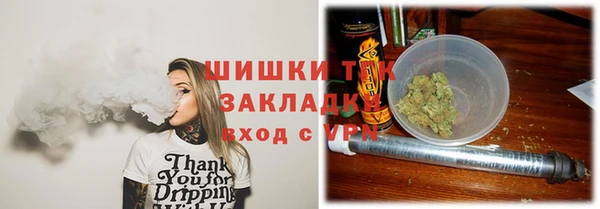 ECSTASY Богданович