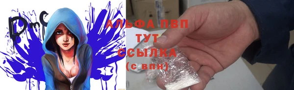 спиды Богородск