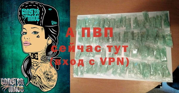 ECSTASY Богданович