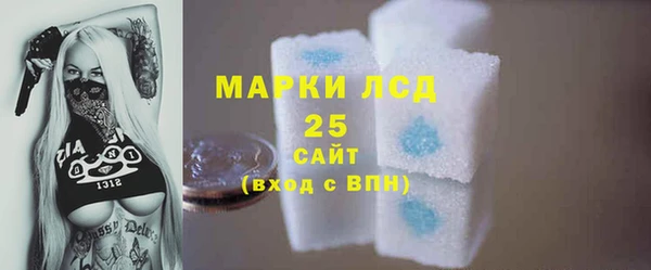 ECSTASY Богданович