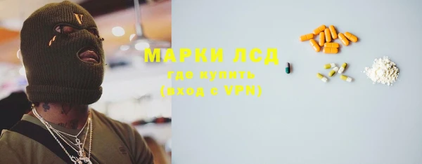 ECSTASY Богданович
