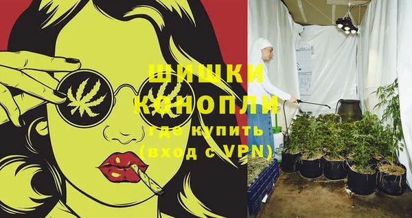 ECSTASY Богданович