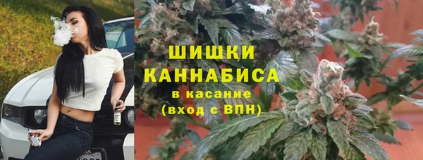 бутират Богородицк