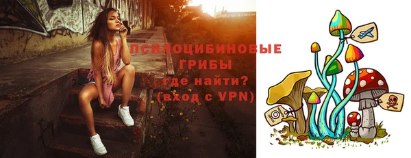 бутират Богородицк