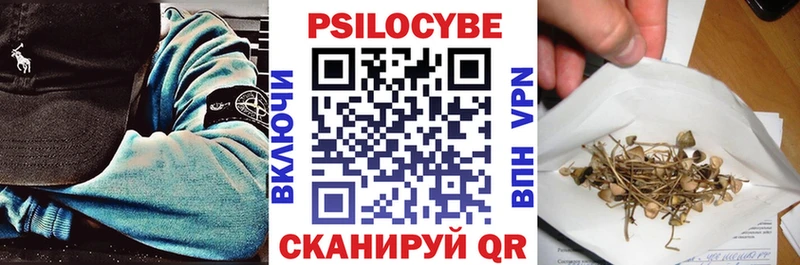 Купить закладки  Сольцы  Галлюциногенные грибы Cubensis 